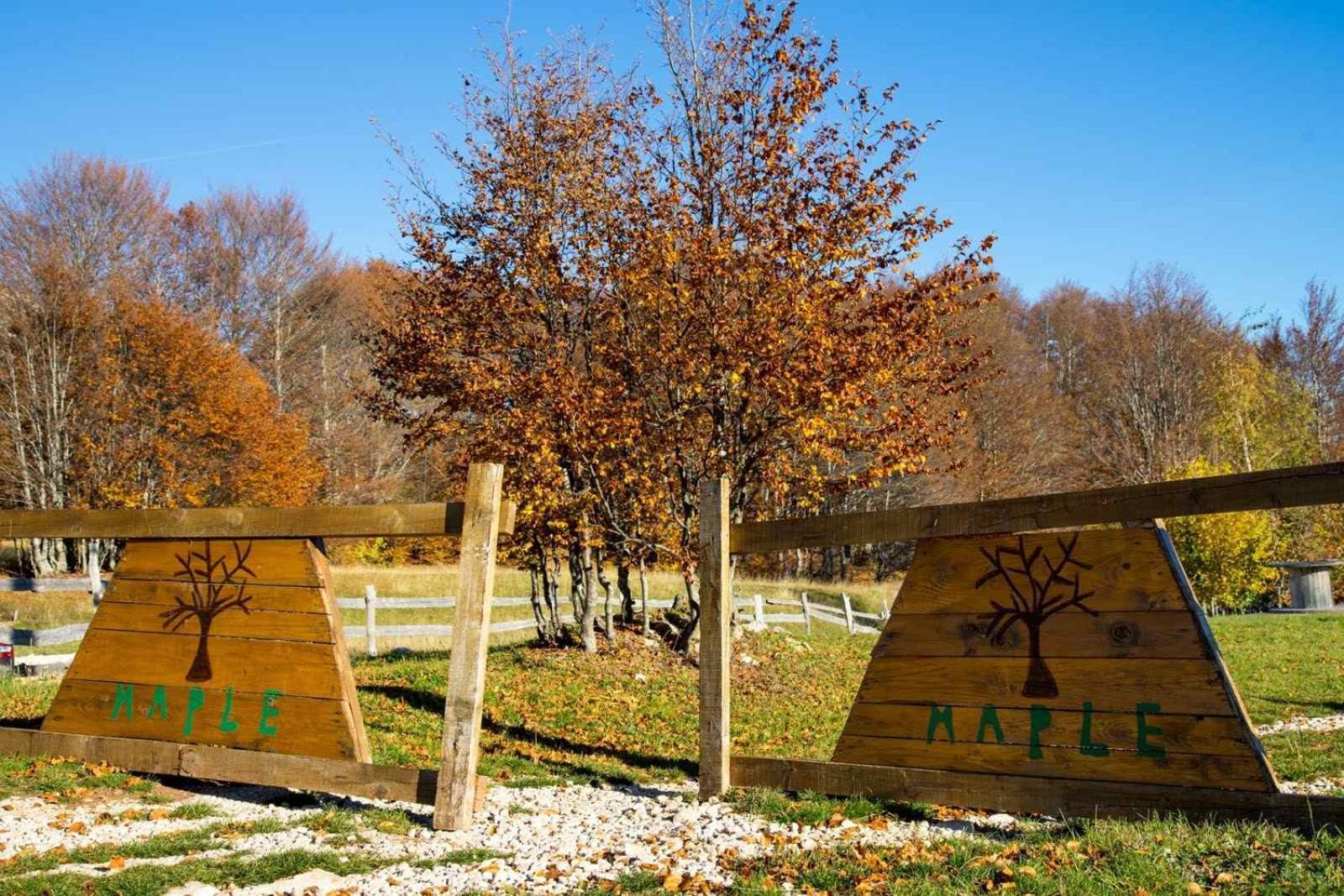 Maple Bungalows Žabljak Exteriér fotografie