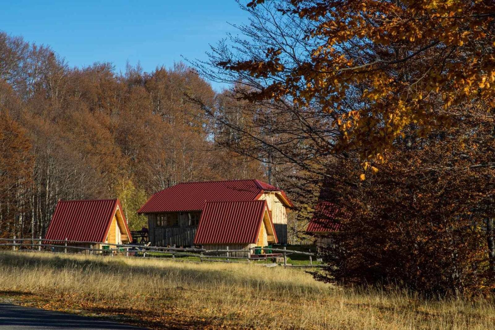Maple Bungalows Žabljak Exteriér fotografie